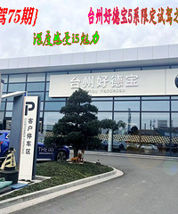 [�Լ�]���ŶԱ����糵���飬���ֻ����ĳ嶯