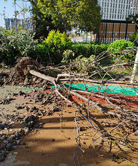 ����·������ڴ���԰