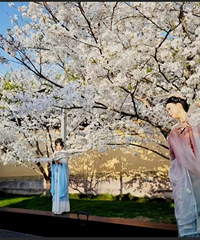 ���15�棡̨���������ݴ�ת�����������и��̼���.....