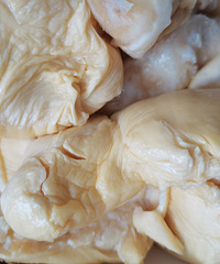 �������ʲô����һ����������������������