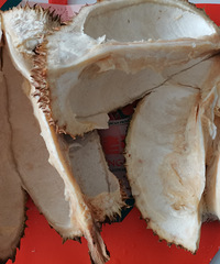 �������ʲô����һ����������������������