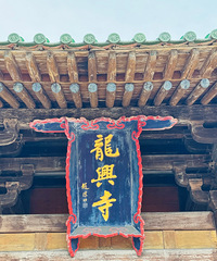 ȥ���������ֵ���Ƥ�����䳤�ǿ�ӣ����Լһ������