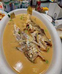 [�����ʲô]Ұ������������