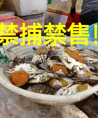 4��1��12ʱ��ȫ���ֹ��