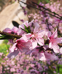 һ��һ���������һ�����ˮ�������һ�֮�Ƚ�