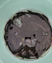 Ժ�Ÿϼ���Ұ����3000������50������120