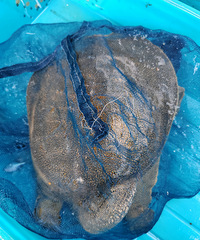 Ժ�Ÿϼ���Ұ����3000������50������120