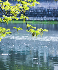 ��������������͸