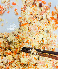 �������ʲô���Ͷ�������