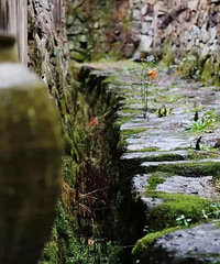 ����������ǿ���������͵�������Ӱ��������������