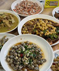 �������ʲô������С�ŵ�������������������