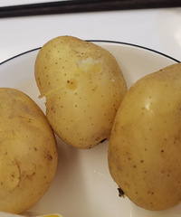 ��������һ��С��������������ʳ����������