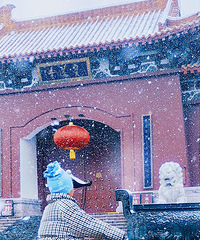 ��2024�μǡ�+��������ݻ���ֵ��һȥ