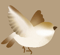 ���ѣ�4��6�գ�S1�߼ӿ�����Щվ��ֻ��������