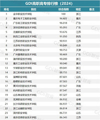 GDI��ְ��ר���а�2024