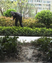 ���������һ����һ����̨�����С���ս�����ҵ����̬����...