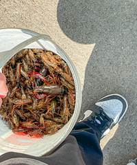 2024��̨�ݵ���Ϻ�����������