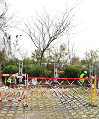 1Сʱ���������������������������׮