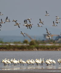 �ڶ���ʡ������������̨����ѡ������