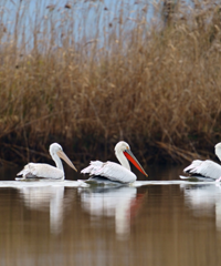 �ڶ���ʡ������������̨����ѡ������