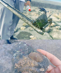 ��·�ŵĺ�����ѽ�ڣ���ȫ�Ϻ�����