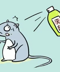 ������ͳһͶ�ţ�