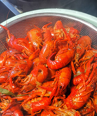 �������ʲô�������ڼ����ĵ�һ��С��Ϻ