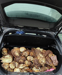 �ջ�������ɽͷ����ľ����