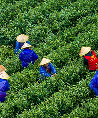 ����̨��ح�ϴ�ɽ���ȴ��迩~