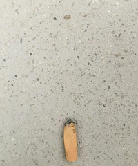 ���˸߿�����ͷ�����Һ���ͷ��