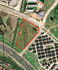 ����ʸߴ�39.61%����ʦ���ж��氲�õؿ�ɹ�����