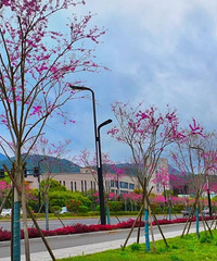 һ����ͼ��Ϯ�������ˣ����ſڵ��ͻ��أ������~