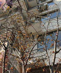 ������û���֣��ܶ��˵������Ѿ���ȫ������