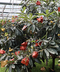 ���˽�ġ��׸�������������������