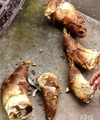 ���Ǽ��������������