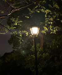 ��һ��ʲô����ĵط������Ƽ�