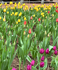 ����г��Թ�һ����ȥ������