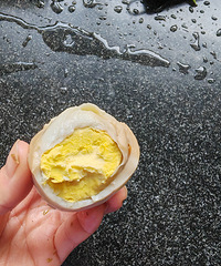 [�����ʲô]���Ƚ�������