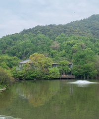 ����һ����