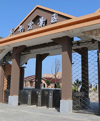 �������µ������۹⳵����Ʊ�����ԣ����ղ�~