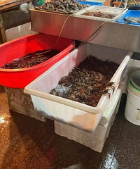 �����̨���˳������⡰һ���ʡ���������