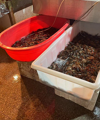 �۸���ն����Ԥ�ƻ�Ҫ����̨�ݴ������У����ѣ��������ͷ