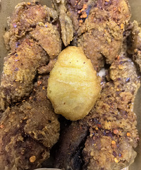 �������ʲô��ը����CoCo�̲�