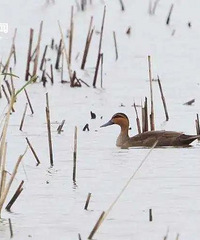 ȫʡ�״Σ���̨�ݷ��֣�