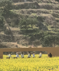 ��2024�μǡ�+����ʯ���Ͳ˻�