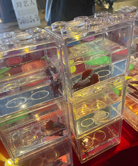 ���������ѵ�ǰ���ѻ�Ҫ����������