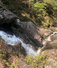 ÷Ϫ�ŵ�����������Ĺŵ���÷���������Ӻ���