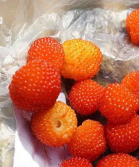 ��ò����ˣ�̨���˵ġ���ζˮ�������ˣ���������������