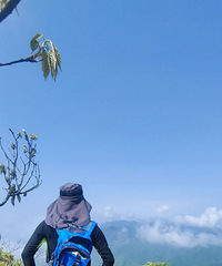 ιŵ~ĸɽ~~ɽ~Ϸ~ִԽ