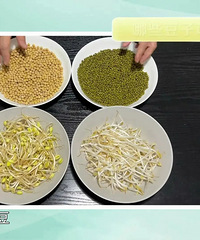 ���ӣ���4��ʳ�﷢ѿ����û������Ӫ�������